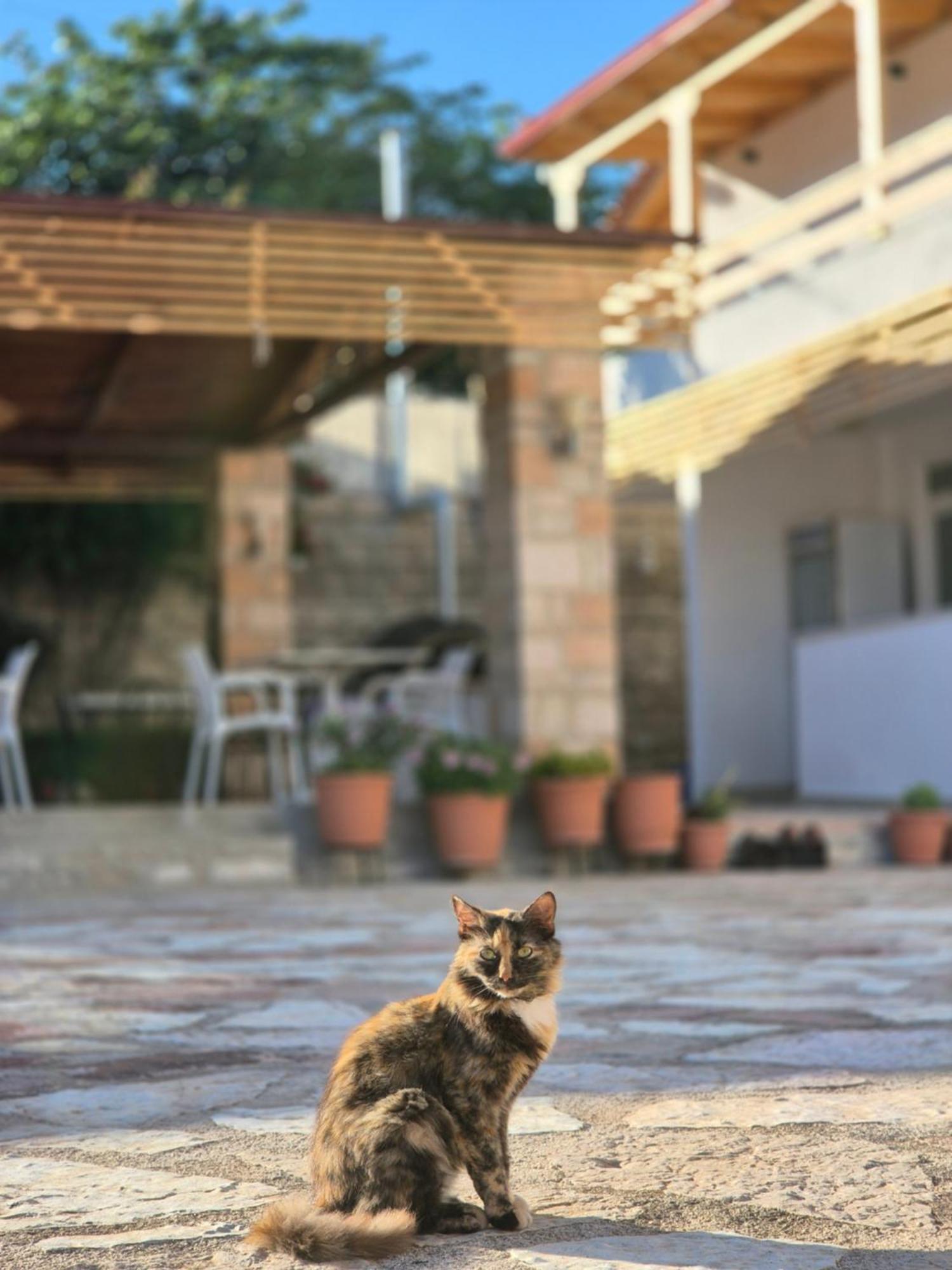 Villa JOSANA Sarandë Esterno foto