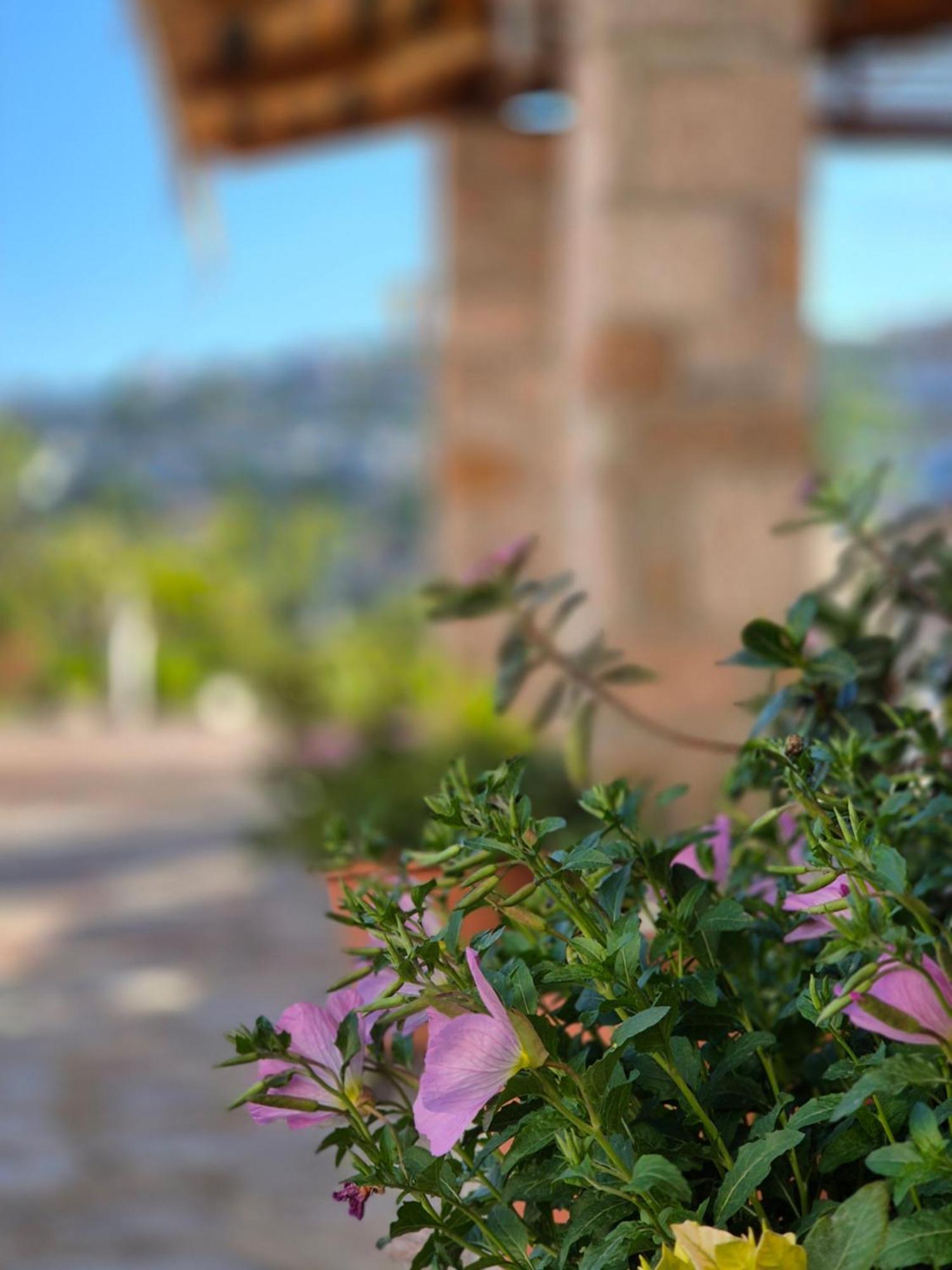 Villa JOSANA Sarandë Esterno foto