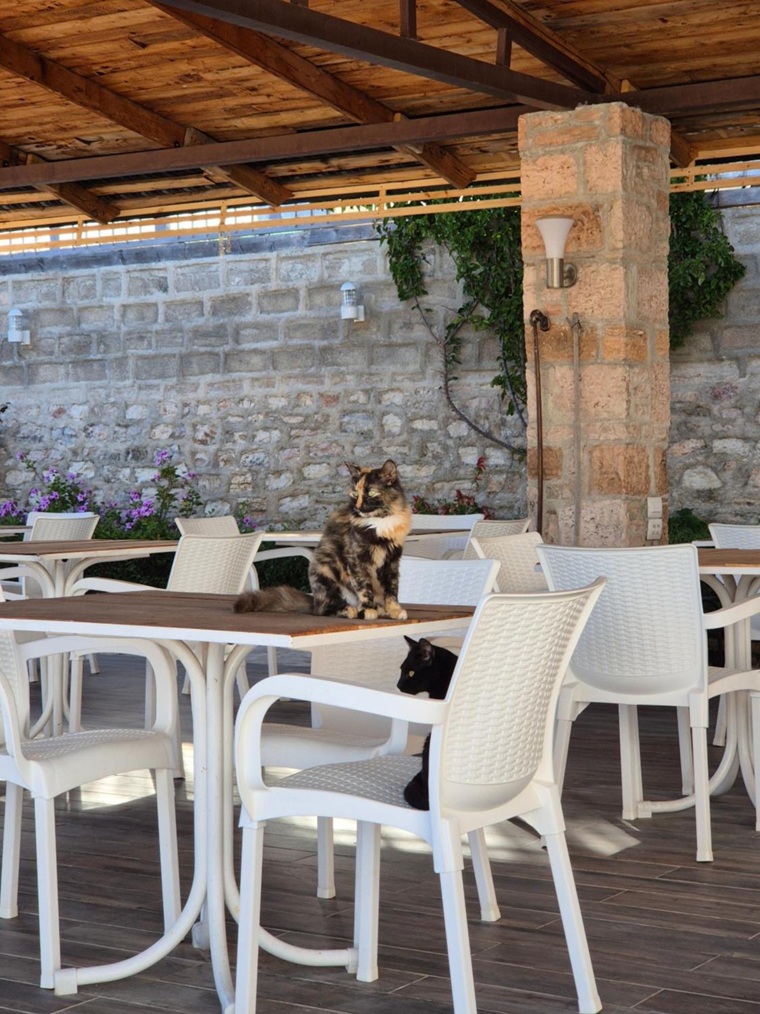 Villa JOSANA Sarandë Esterno foto